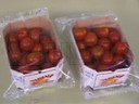 Ambalare cutii de rosii cherry in flow pack (hffs)